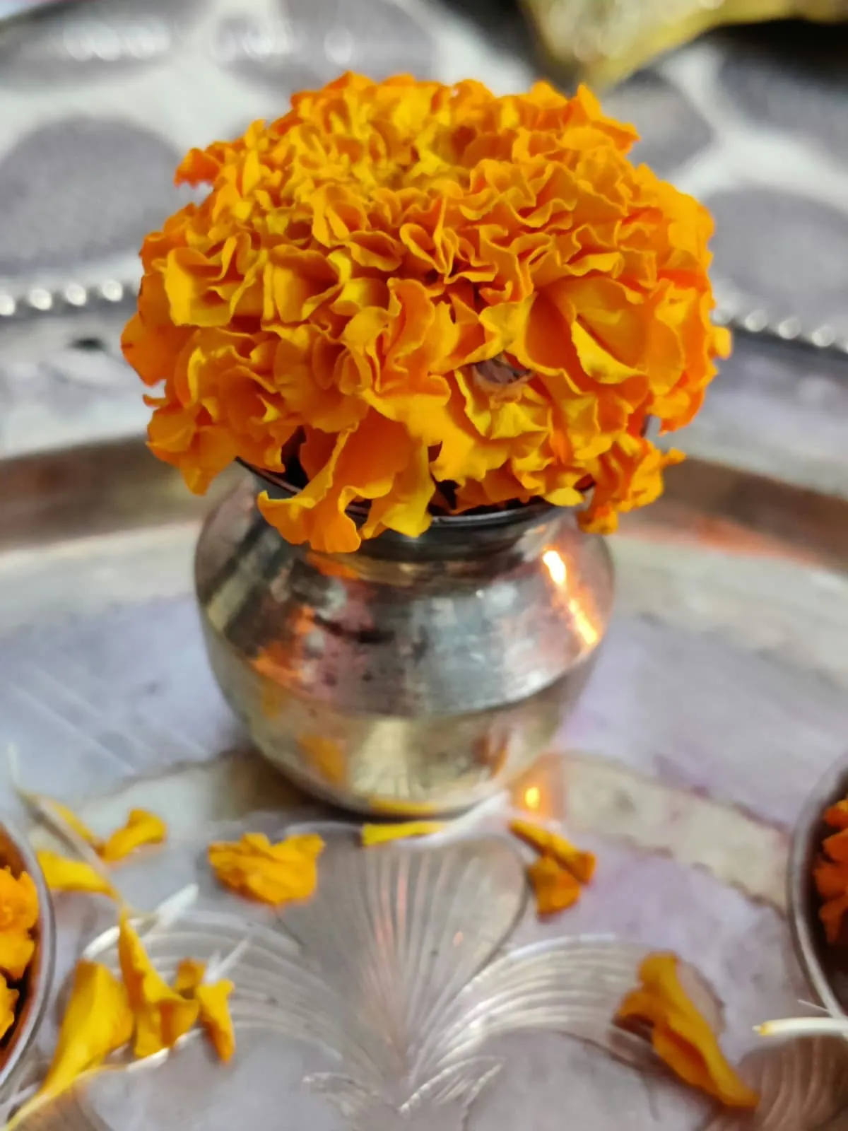 Vasant Navratri spring celebrations with flowers and offerings